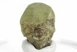 Green Olivine Peridot Crystal - Pakistan #213519-1